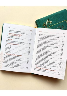 Чиста серцем. Молитовник жінки (класичні ікони)